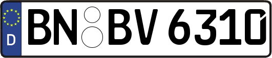 BN-BV6310
