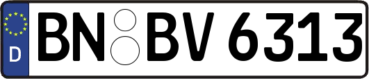BN-BV6313