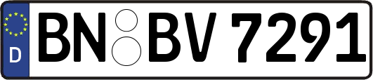 BN-BV7291