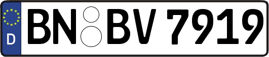 BN-BV7919