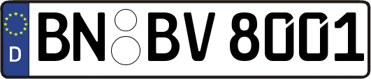 BN-BV8001