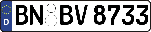BN-BV8733