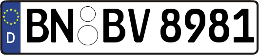 BN-BV8981