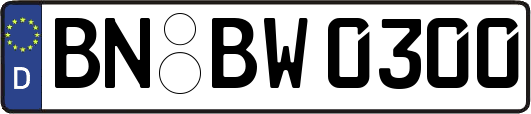 BN-BW0300
