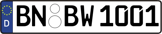 BN-BW1001