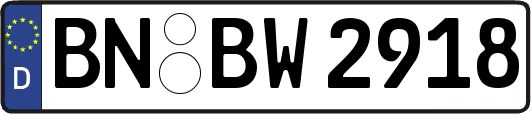 BN-BW2918