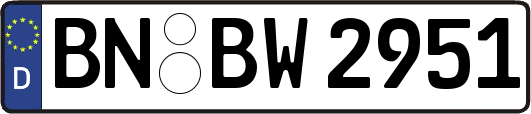 BN-BW2951
