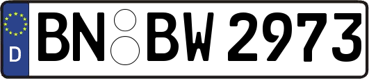 BN-BW2973