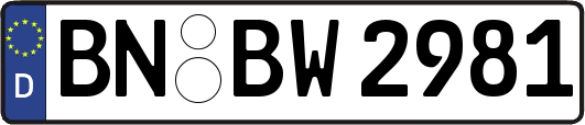 BN-BW2981