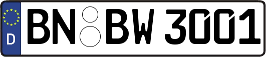 BN-BW3001