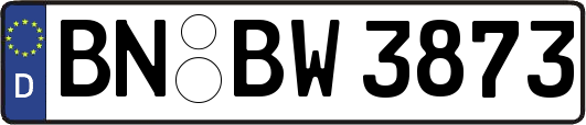BN-BW3873