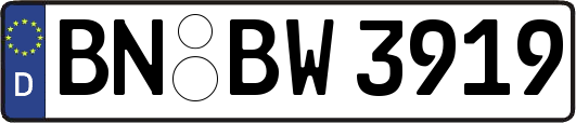 BN-BW3919
