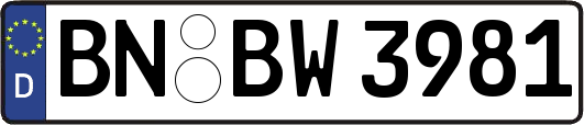 BN-BW3981