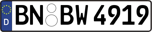 BN-BW4919