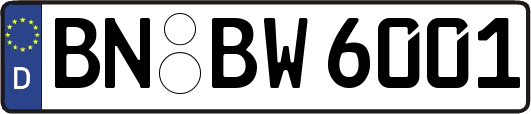 BN-BW6001