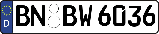 BN-BW6036