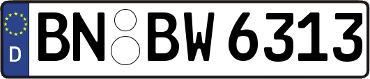 BN-BW6313