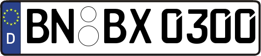 BN-BX0300