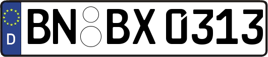BN-BX0313