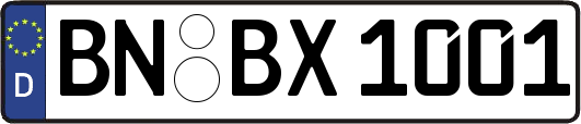 BN-BX1001
