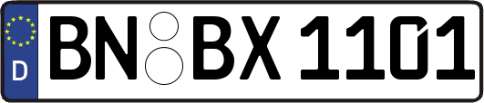 BN-BX1101