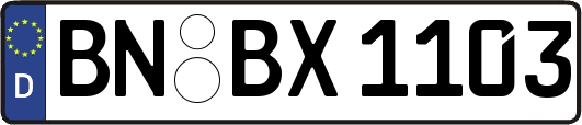 BN-BX1103