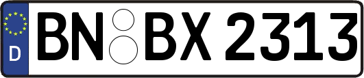 BN-BX2313