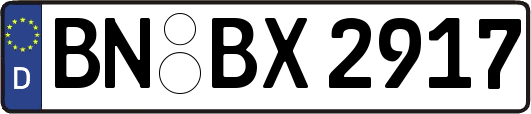 BN-BX2917