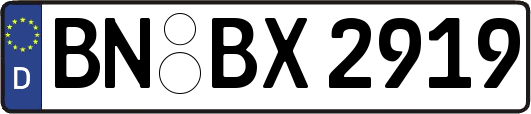 BN-BX2919