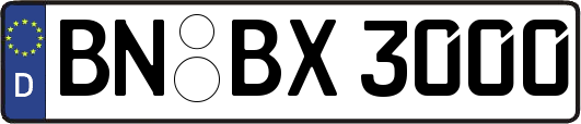 BN-BX3000