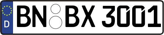 BN-BX3001