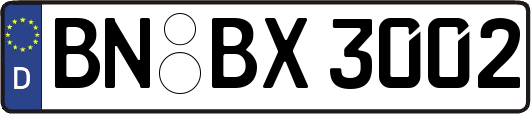 BN-BX3002