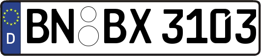 BN-BX3103