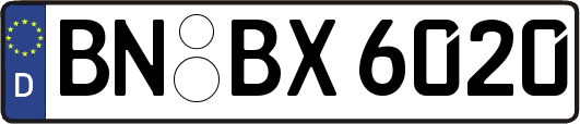 BN-BX6020