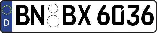 BN-BX6036