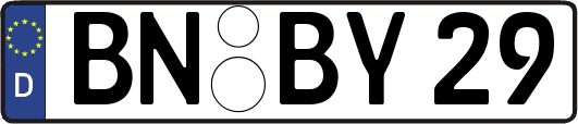 BN-BY29