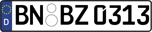BN-BZ0313