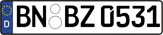 BN-BZ0531