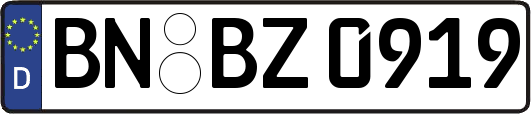 BN-BZ0919