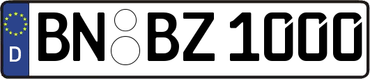 BN-BZ1000