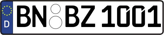 BN-BZ1001