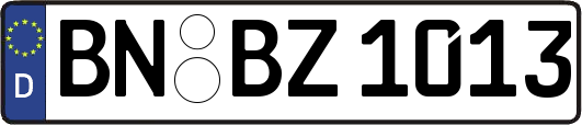 BN-BZ1013