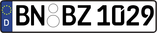 BN-BZ1029