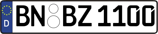 BN-BZ1100