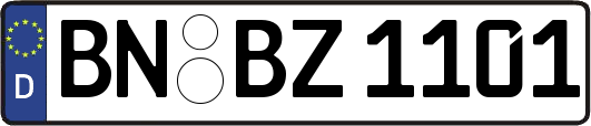 BN-BZ1101