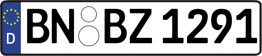 BN-BZ1291