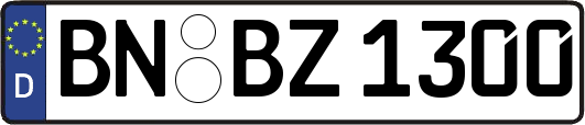 BN-BZ1300