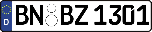 BN-BZ1301