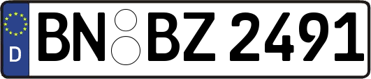 BN-BZ2491