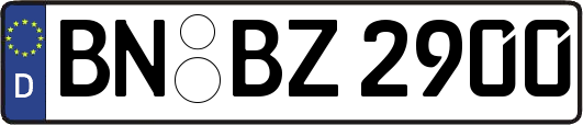 BN-BZ2900